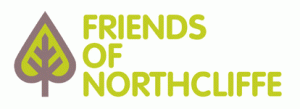 fon-logo